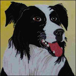 Border Collie.jpg