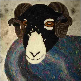 Black Headed sheep.jpg