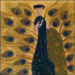 Peacock.jpg