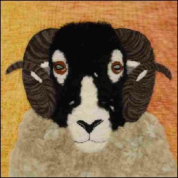 Swaledale Sheep.jpg