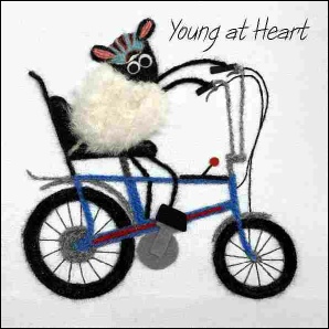 Young at Heart.jpg